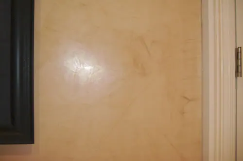 Faux Finish Door